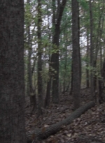 twd1013_0029.jpg