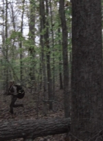 twd1013_0030.jpg