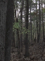 twd1013_0035.jpg