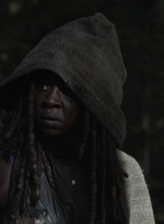 twd1013_0039.jpg