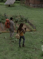 twd1013_0101.jpg