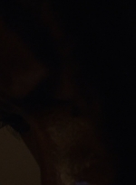 twd1013_0613.jpg