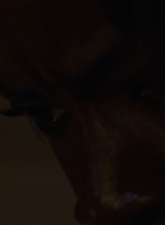 twd1013_0615.jpg