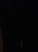 twd1013_0616.jpg