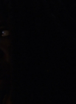 twd1013_0619.jpg