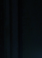 twd1013_0632.jpg