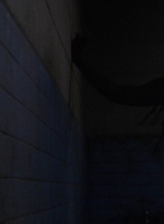 twd1013_0811.jpg