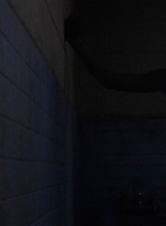 twd1013_0812.jpg
