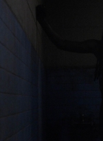 twd1013_0814.jpg