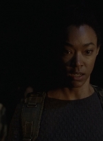 twd1013_1324.jpg