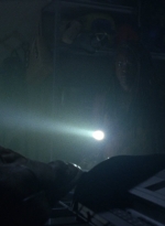 twd1013_1767.jpg