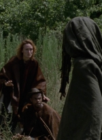twd1013_2439.jpg