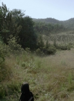 twd1013_2449.jpg