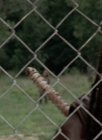 twd1013_2468.jpg