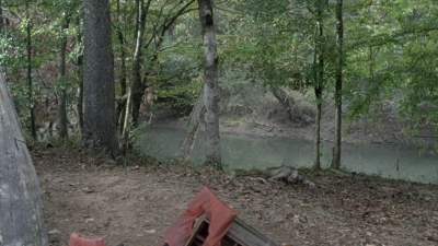 twd1014_1936.jpg