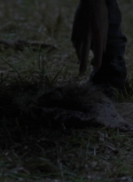 twd1014_1616.jpg
