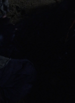 twd1014_1794.jpg