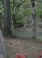 twd1014_1938.jpg