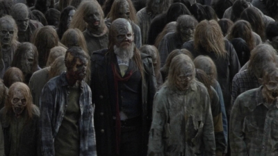 twd1015_2526.jpg