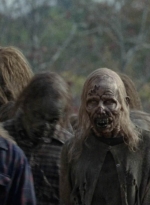 twd1015_2521.jpg