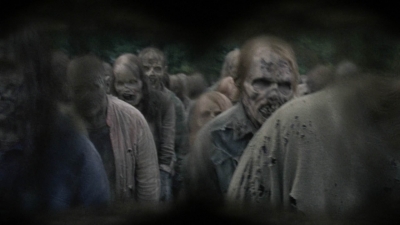 twd1016_scnet_0799.jpg