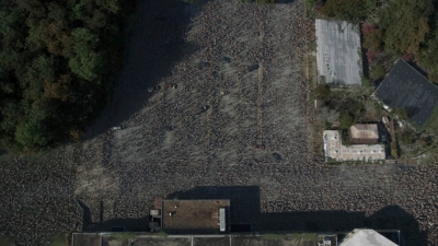 twd1016_scnet_0811.jpg