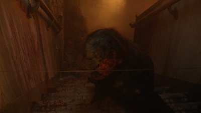 twd1016_scnet_0998.jpg