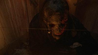 twd1016_scnet_1000.jpg
