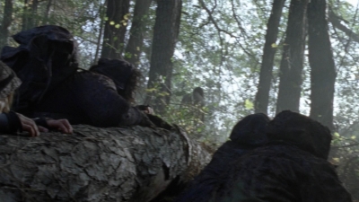 twd1016_scnet_1137.jpg
