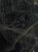 twd1016_scnet_0805.jpg