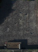 twd1016_scnet_0812.jpg