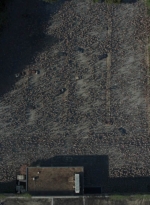 twd1016_scnet_0813.jpg