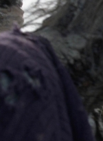 twd1016_scnet_0858.jpg