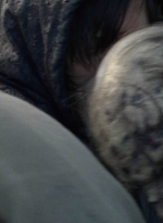 twd1016_scnet_0877.jpg