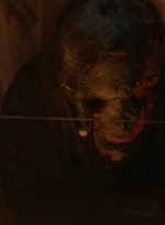 twd1016_scnet_1000.jpg