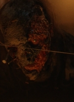 twd1016_scnet_1003.jpg