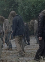 twd1016_scnet_1237.jpg