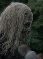 twd1016_scnet_1250.jpg