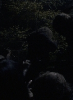 twd1016_scnet_1460.jpg