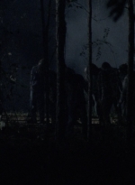 twd1016_scnet_1465.jpg