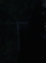 twd1016_scnet_1712.jpg