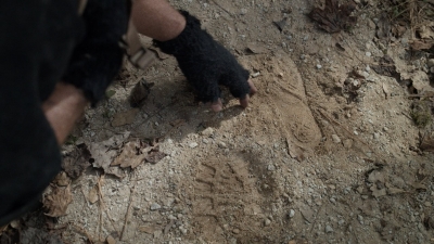 twd1017_scnet_1040.jpg