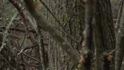 Click to view full size image
==============
twd1017_scnet_1364.jpg twd1017_scnet_1364.jpg