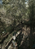 twd1017_scnet_1147.jpg