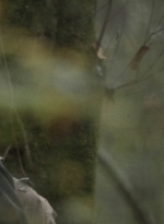 twd1017_scnet_1274.jpg