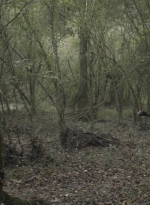 twd1017_scnet_1276.jpg