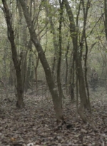 twd1017_scnet_1282.jpg