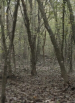 twd1017_scnet_1283.jpg