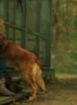 twd1018_scnet_0341.jpg