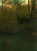 twd1018_scnet_0423.jpg
